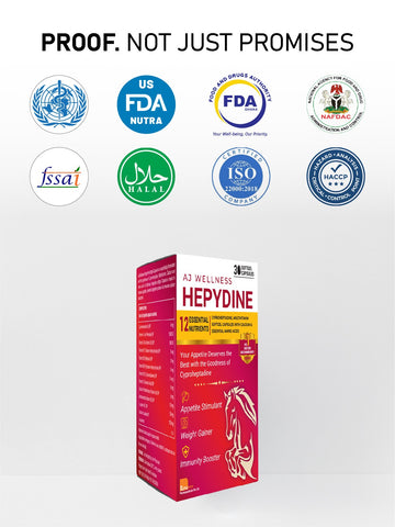 AJ Wellness HEPYDINE - Supplement to enhance Appetite
