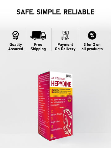 AJ Wellness HEPYDINE - Supplement to enhance Appetite