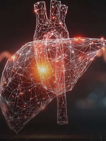AJ Wellness Hepavital - Designed for Liver Wellness & Vitality